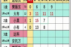 5.17欧冠决赛：樊振东0-3勒布伦哥哥首发失利，莫雷加德大战小布